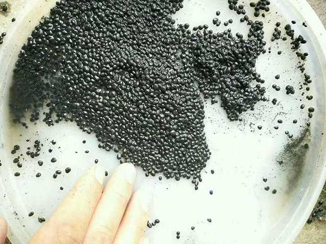 颗粒污泥